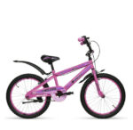 دوچرخه چیاوا مدل دنیز سایز 20 - تصویر 10