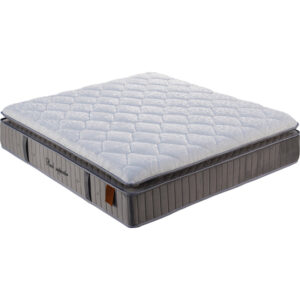 تشک ایندکس مدل بک ساپورتر